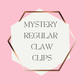 Mystery Regular Claw Clips