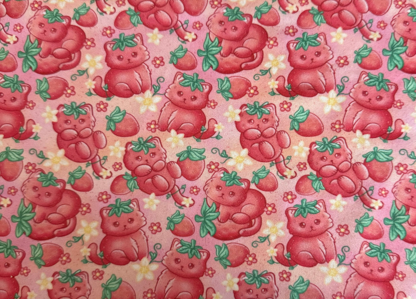 Strawberry Cat