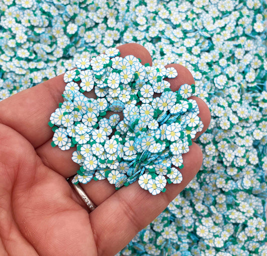 Aqua Daisies