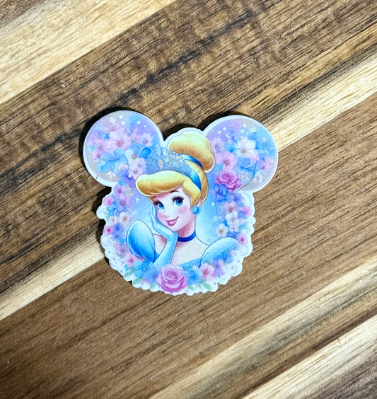 Slipper Princess