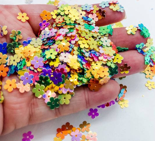 Golden Rainbow Daisies