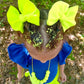 Neon Yellow
