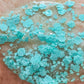 Magnificent Mint