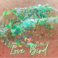 Love Bird